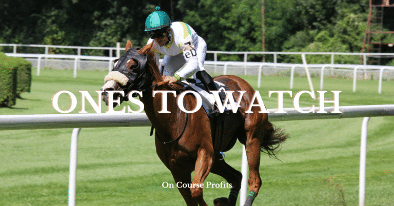 Image shows a single jockey and horse galloping on a turf track