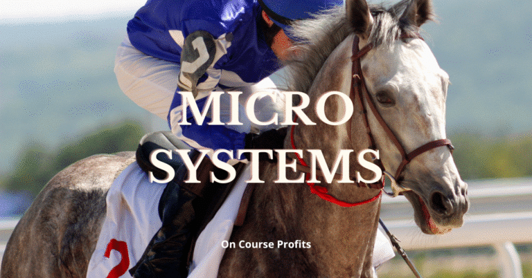 Image shows a grey race horse being ridden by a jockey wearing purple and white silks. With text overlay of Micro Systems.