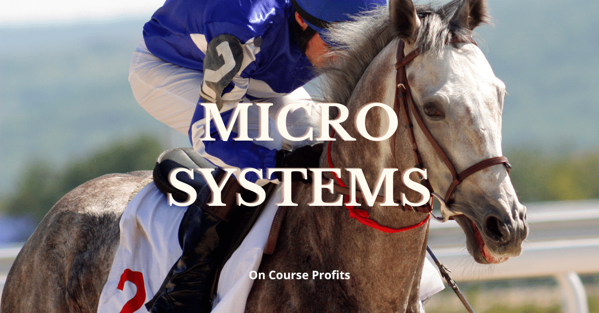 Image shows a grey race horse being ridden by a jockey wearing purple and white silks. With text overlay of Micro Systems.