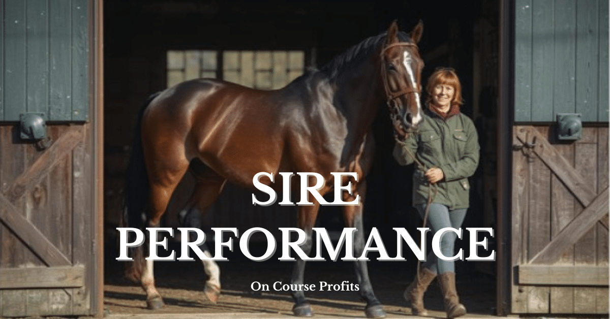 Image shows a female stable hand leading out a stallion from the stables.