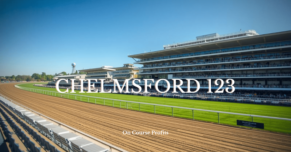 Image shows an all weather racecourse and the spectator stands.