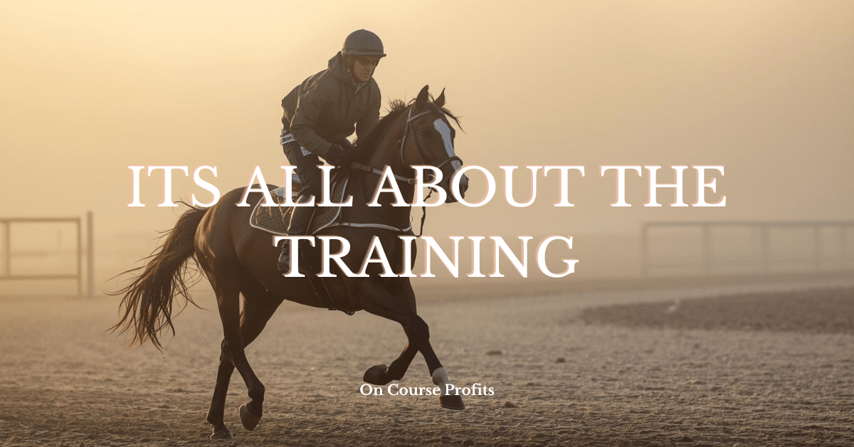 Image shows a racehorse and jockey on the gallops at dawn for training.
