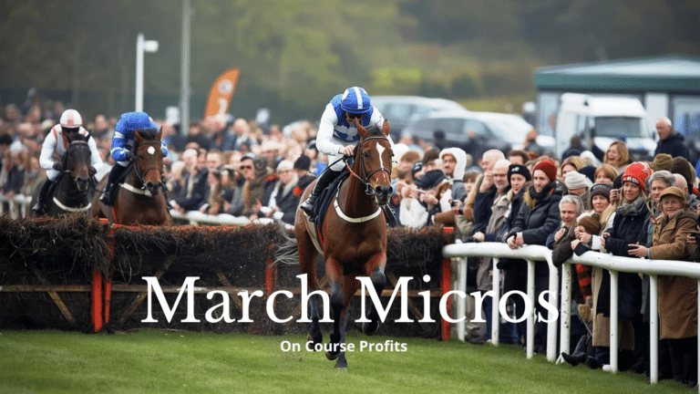 Image shows 3 horses racing over hurdles with a clear leader in front.