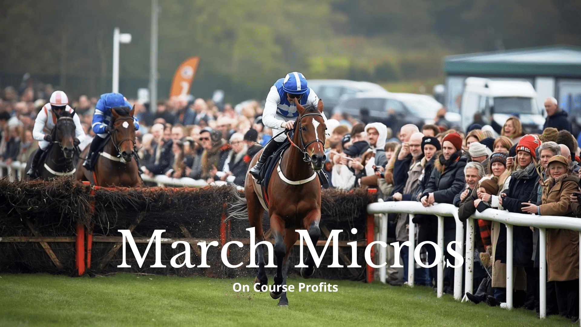 Image shows 3 horses racing over hurdles with a clear leader in front.