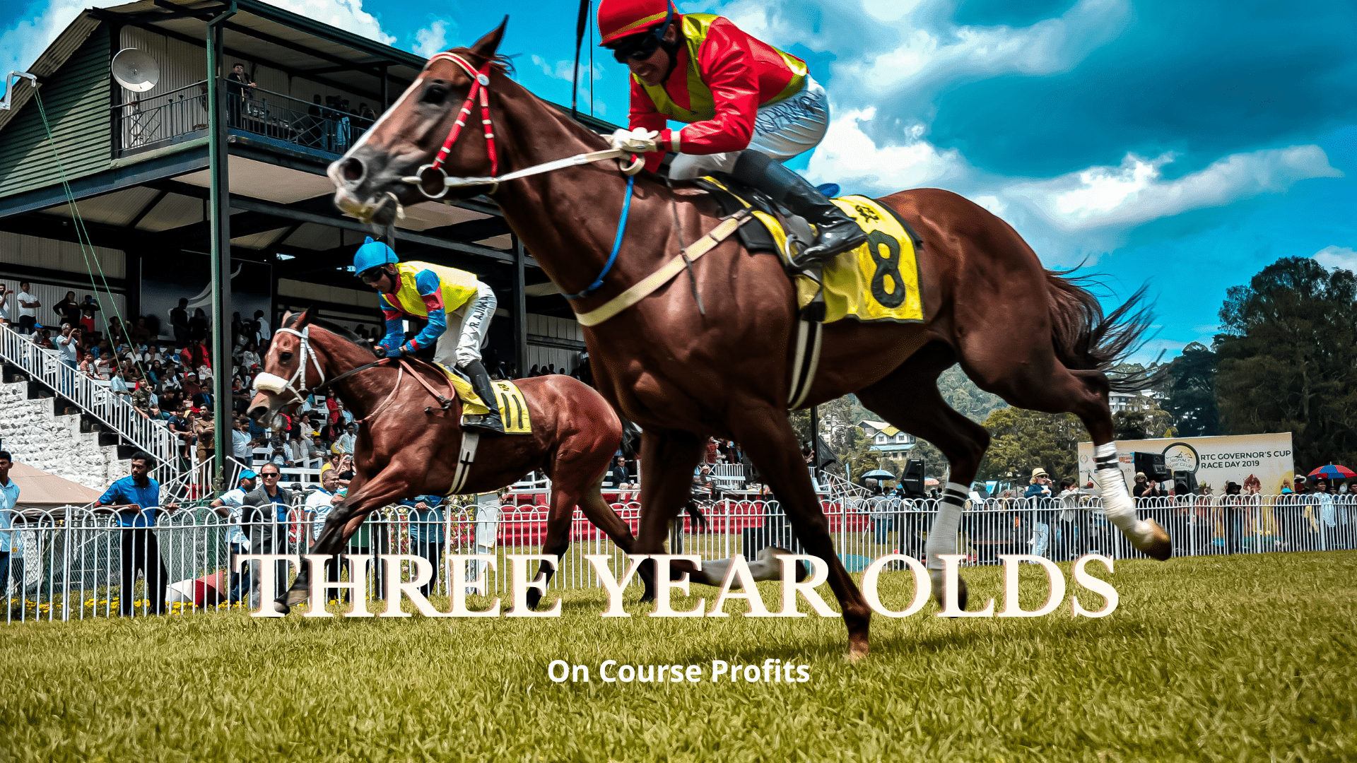 Images shows summer racing on the turf flat.