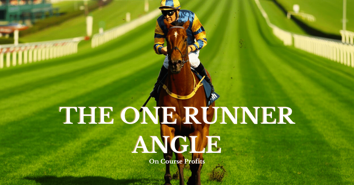 Image shows a single horse with jockey o n a racecourse cantering down to the start of a race.