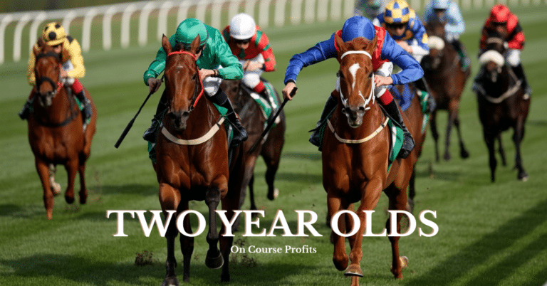 Image shows a Turf Flat race with two horses at the front battling it out in the final furlong.