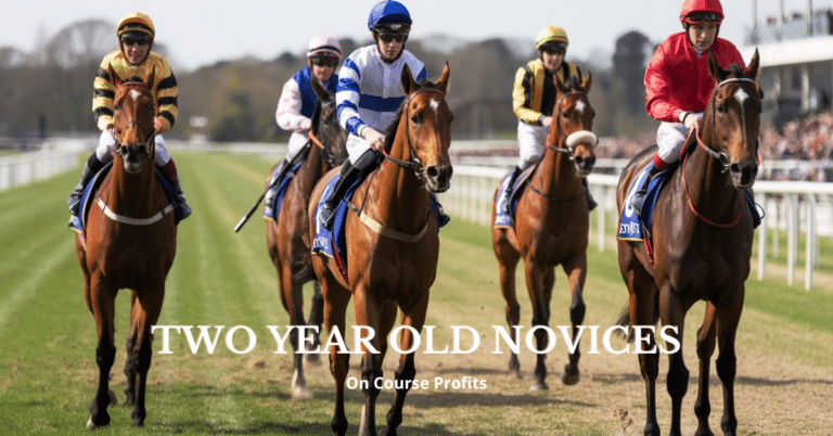 Image shows horses steadily walking down to the start line of a race.