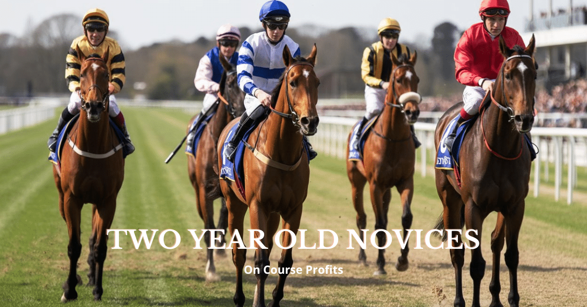 Image shows horses steadily walking down to the start line of a race.