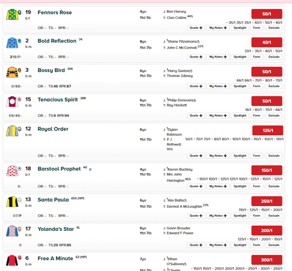 Full racecard screenshot from The Racing Post. Part 2