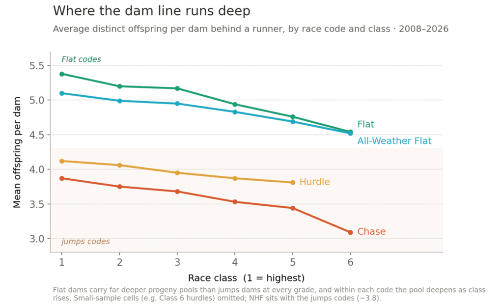 Average distinct offspring per dam behind a runner, by race code and class 2008-2026