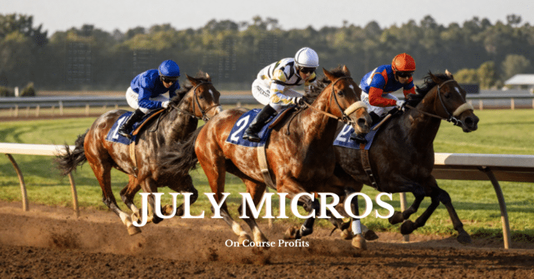 Image shows three horses galloping on an all weather track.