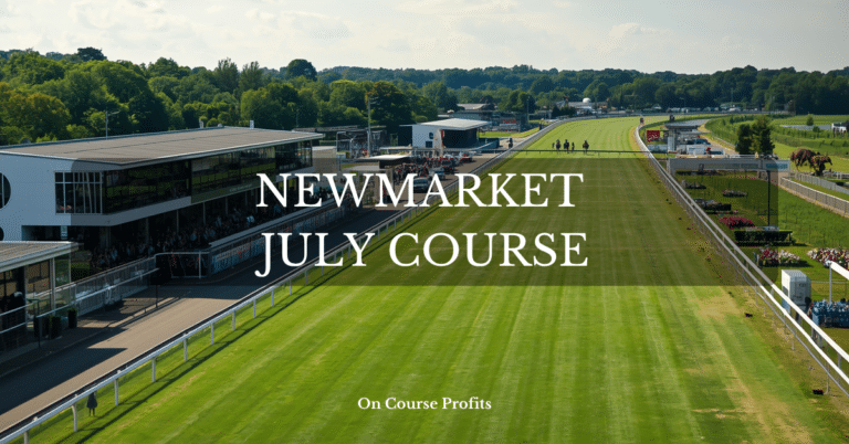 The image shows an aerial shot of Newmarket Racecourse.