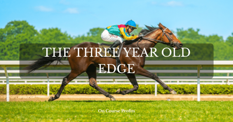 Image shows a horse and jockey. The jockey is in bright coloured racing silks, and the horse is in full gallop.